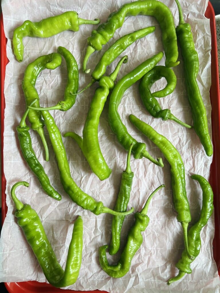 Long hot peppers in a single layer on a parchment-lined sheet pan.