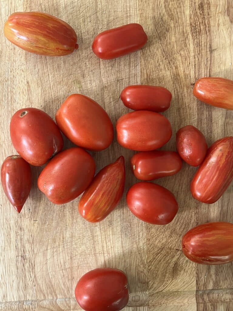 Assorted tomatoes, overhead view.