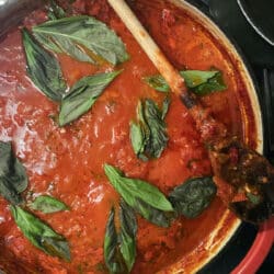Pot of sugo recipe topped off with fresh basil leaves with wooden spoon.