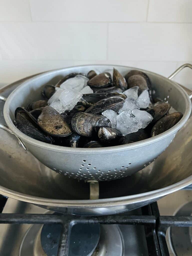 Raw mussels stored on ice in in a colander in a bowl in the refrigerator.