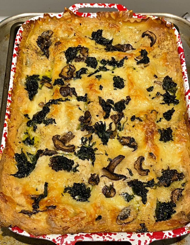 Finished Vegetable Lasagna with Bechamel in baking dish just out of the oven.