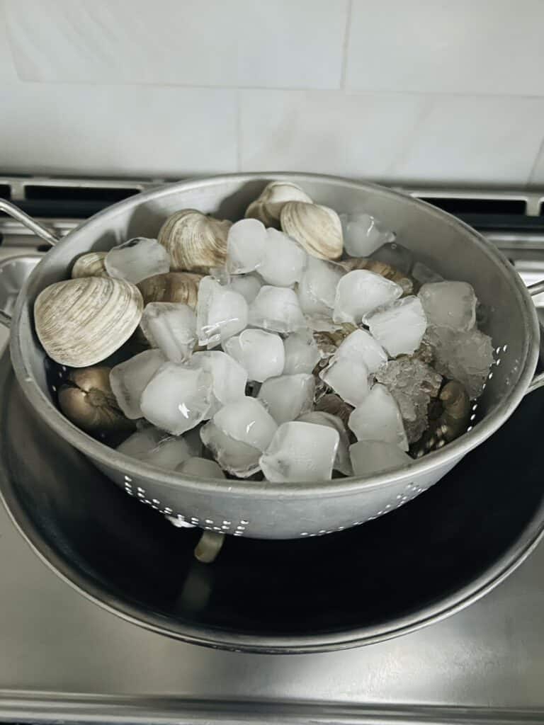 Clams over a bed of ice and topped with some ice in a colander in a bowl, ready to be stored in the refrigerator.