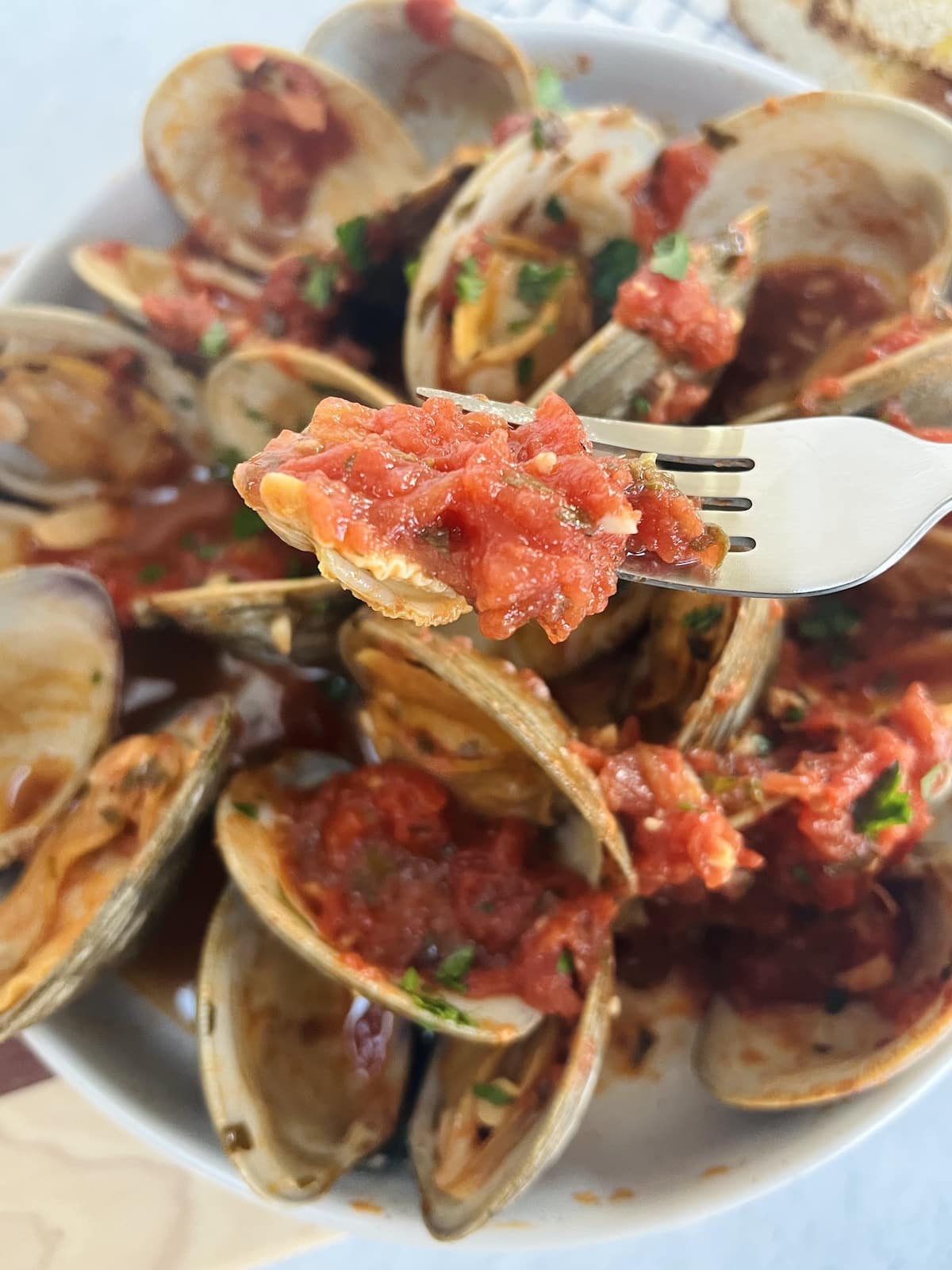Clams Posillipo in Red Sauce (Zuppa di Clams) Italian Seafood