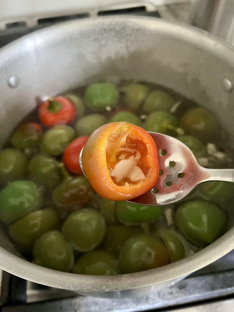 Close up of one cherry pepper on slotted spoon after it's ben in the brin a couple minutes.