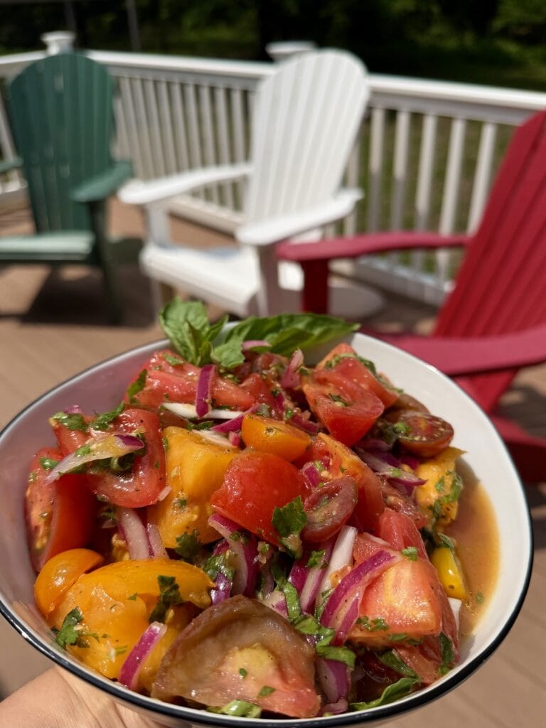 Italian Marinated Tomato Salad with Red Wine Vinegar in white bowl with basil garnish in front of deck chairs.