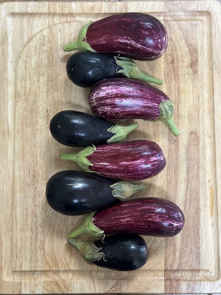 Multiple varieties of eggplant on cutting board.