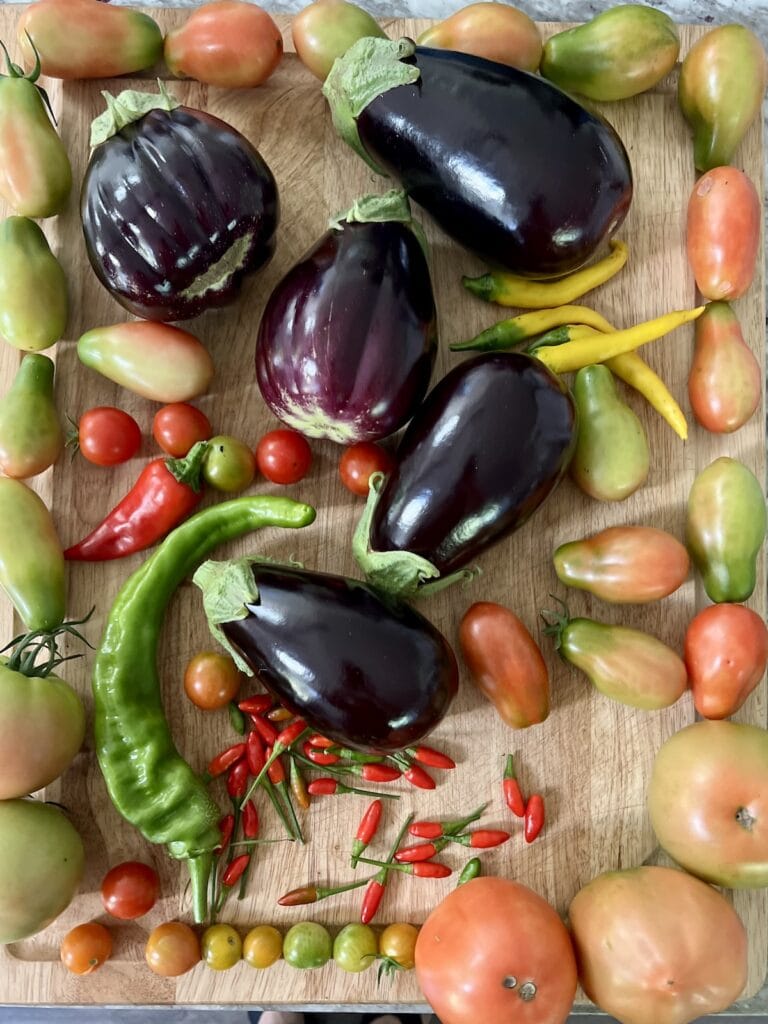 Eggplant and other vegetables just harvested from garden on cutting board.