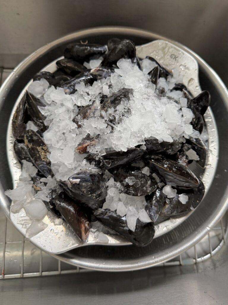 Storing mussels in a colander over a bowl with ice.