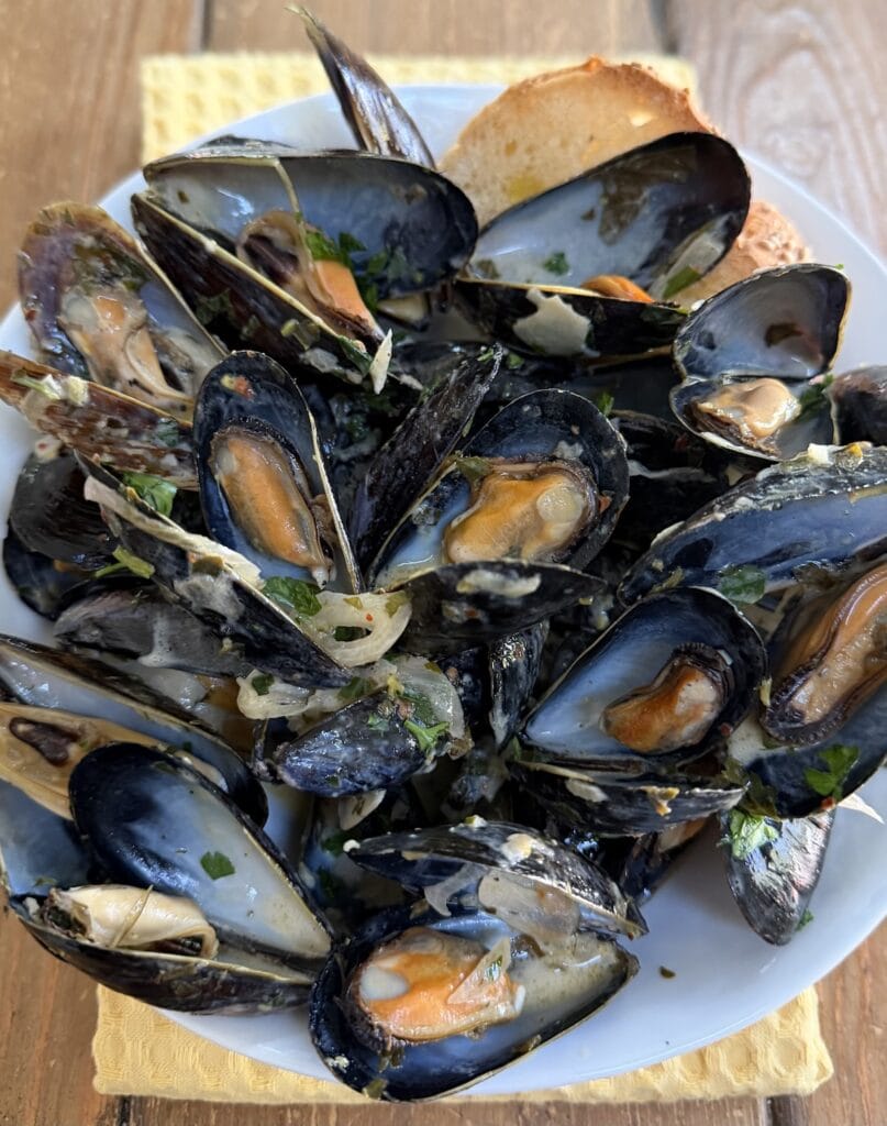 Mussels in White Wine Sauce  with bread in white bowl.